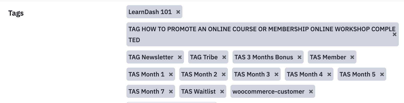 How To Use TAGS and Segmentation in Active Campaign - The Automation Girl